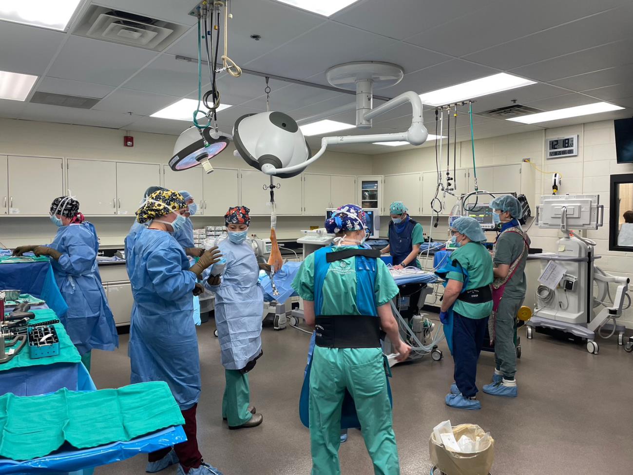 整形外科の手術室、ピレネー犬の大腿骨骨折をインターロッキングネイルで治療を行う